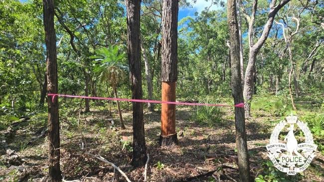 Wood carvings. Barry Kantilla has been found safe and well after a major search effort on the Tiwi Islands. Picture: NT Police.