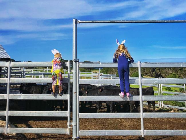 Lucas, 5, and Alice Perry, 7, inspecting some pregnant heifers on their family's cattle farm. Picture: Ana Pimenta