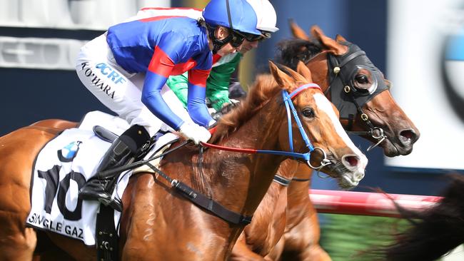 Australia Cup 2018: Kathy O’Hara sure Single Gaze can turn tables on ...