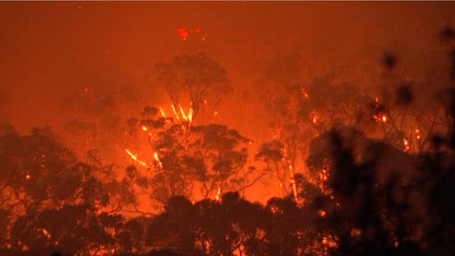 Firefighters are currently responding to a bushfire at Dr Ken Leversha Reserve in Montrose and people in the immediate area have been told to prepare to leave immediately. Picture: ABC