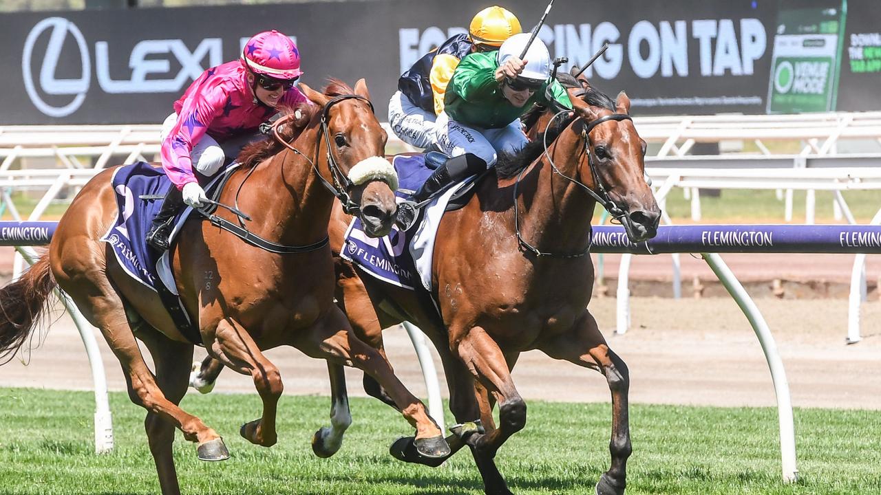 Cameron Happ Analyses The Flemington Standish Handicap Meeting And ...