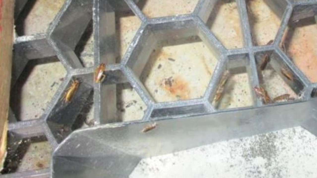 A Brisbane City Council inspector attended West End Kebab and Pizza House in February 2021 after a customer reported seeing rats at the premises. Picture: Supplied