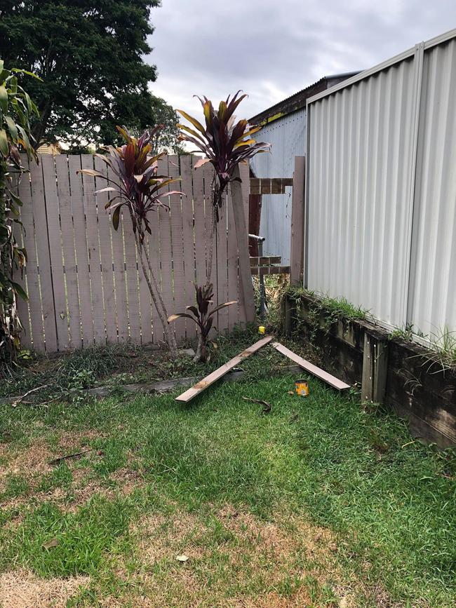 The family woke up to a tin of dog food and a broken fence. Picture: Lewis Davis.