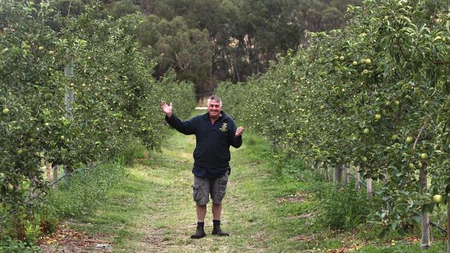 Harcourt apples and rain