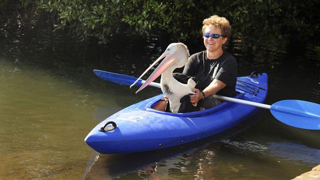 Wendy Gillespie with an injured pelican on Brisbane Water. Picture: supplied.