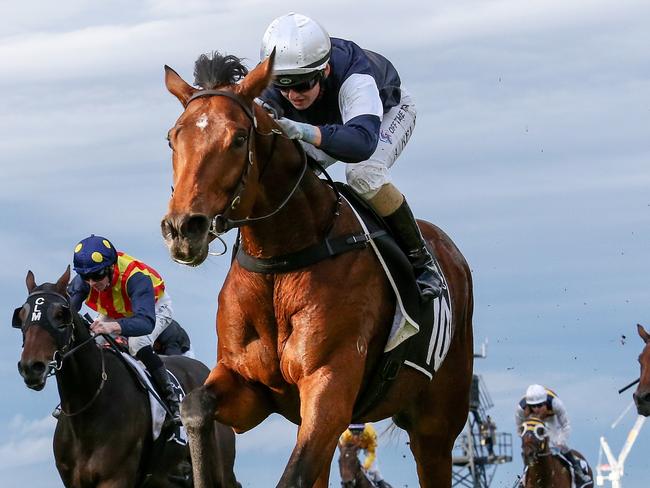 Point Nepean (IRE) ridden by Alana Kelly wins the Lexus Andrew Ramsden at Flemington Racecourse on May 14, 2022 in Flemington, Australia. (George Sal/Racing Photos via Getty Images)