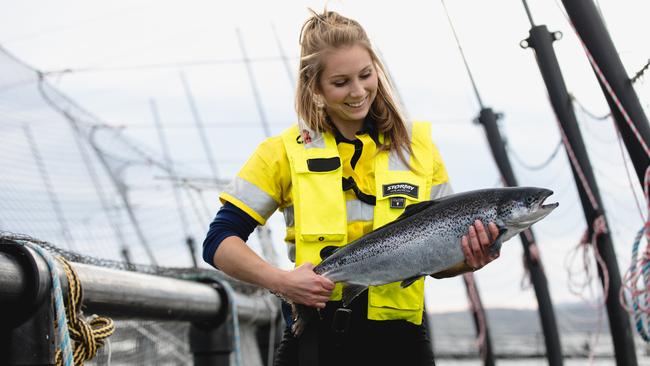 Tattarang announced on Wednesday it had spent another $46m to increase its stake in Huon Aquaculture to 18.5 per cent.