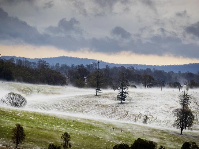 Greenfields resembled snowfields at Long Flat south of Gympie. Picture: Lachie Millard