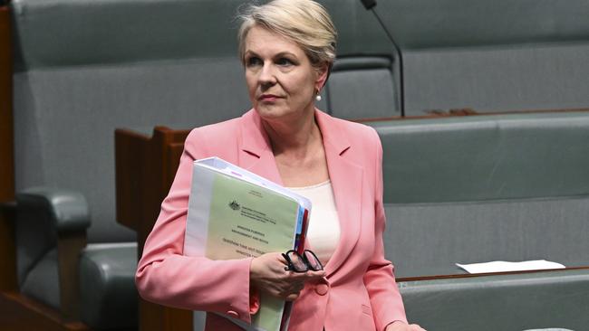 Federal Environment Minister Tanya Plibersek. Picture: NCA NewsWire/Martin Ollman