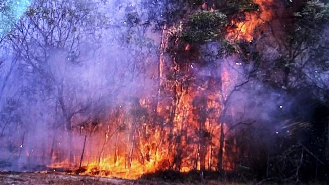 A picture of the bushfire burning in Cornubia. Picture: Richard Gosling