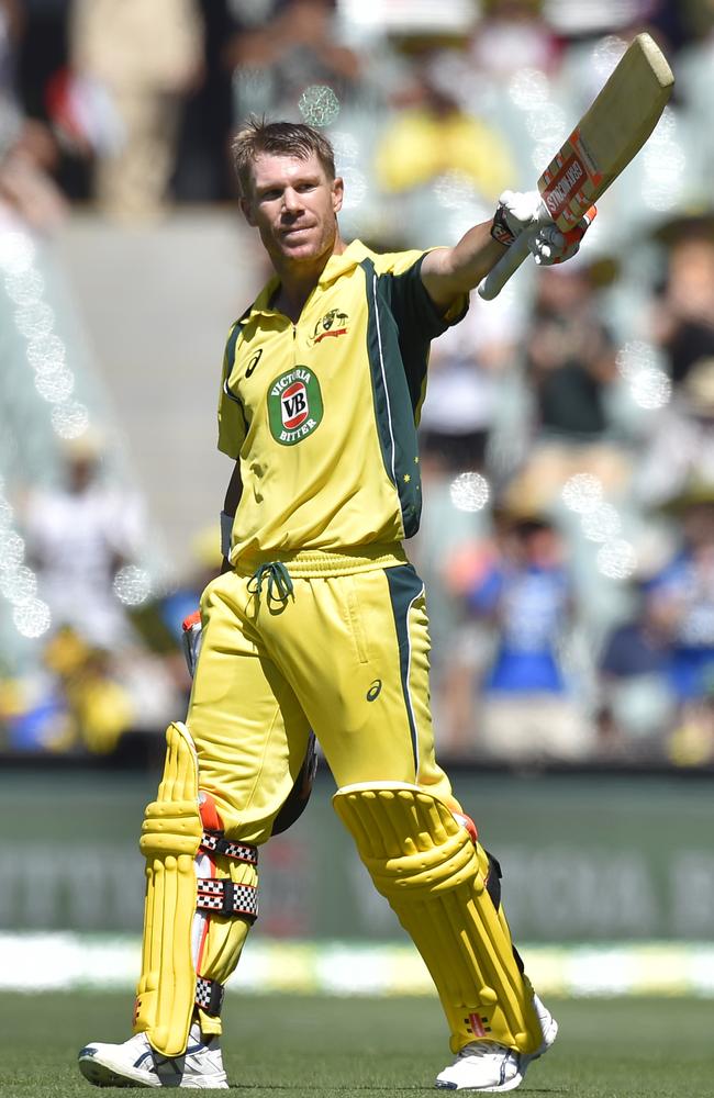 David Warner celebrates his highest ODI score in Adelaide last year.