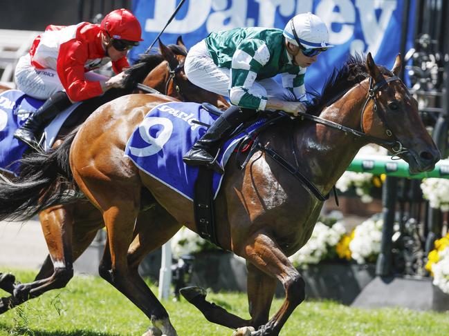 NCA. MELBOURNE. Melbourne Cup Day at Flemington Racecourse on November 05, 2024 in Melbourne, Australia.   Race 1. The Maribyrnong Plate.  Tycoon Star ridden by Michael Dee win the opening race  .  Picture: Michael Klein