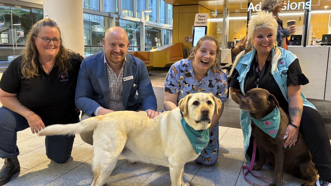 Why two Labs are bringing joy to hospital staff