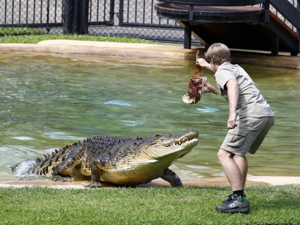 australia zoo croc show times today