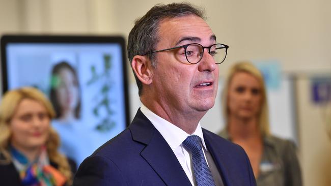 Steven Marshall says ‘SA is going to play its part in how ­Aboriginal Australians have representation and look at legislation’. Picture: Keryn Stevens