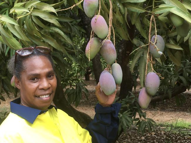 Much needed fruit pickers flying into Darwin for mango season