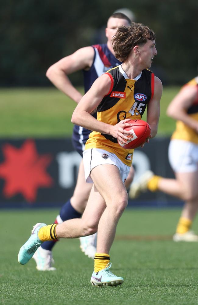 Elwood Peckett looks for an option for the Dandenong Stingrays. Photo by Rob Lawson/AFL Photos