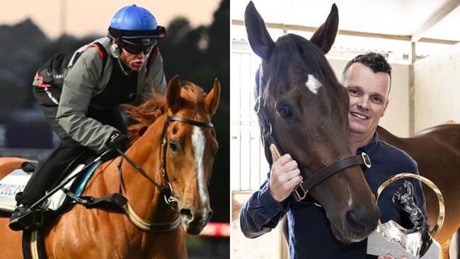 Giga Kick, left, and Think About It, right, have won The Everest before, but to have another crack this year, they have to first win their spot. Pictures: News Corp