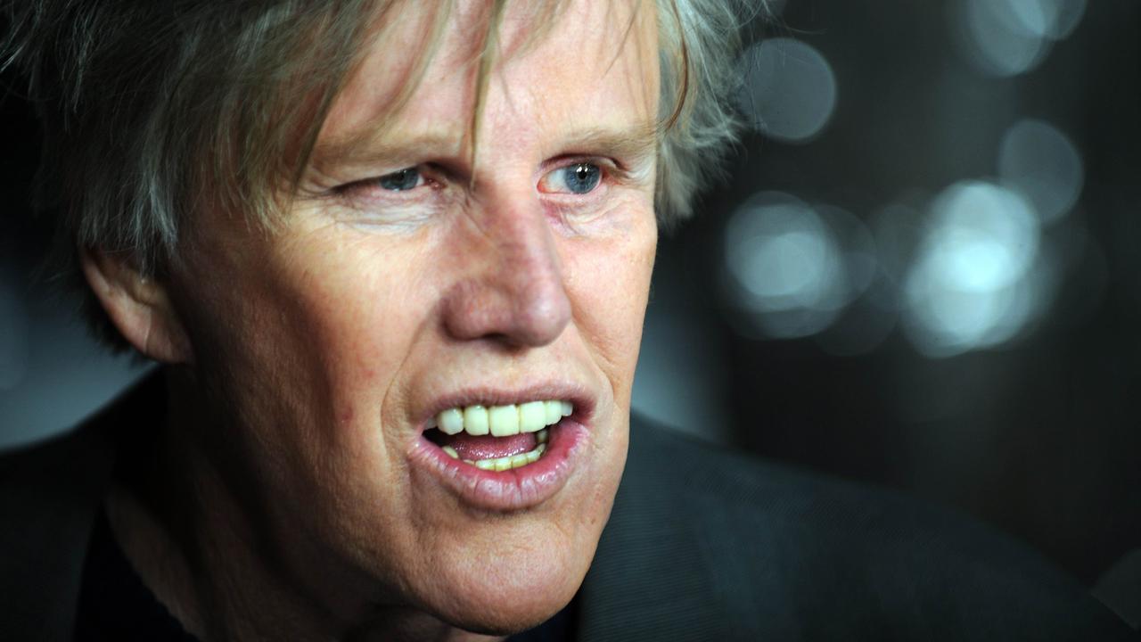 Gary Busey Charged With Sex Crimes After Fan Convention The Advertiser