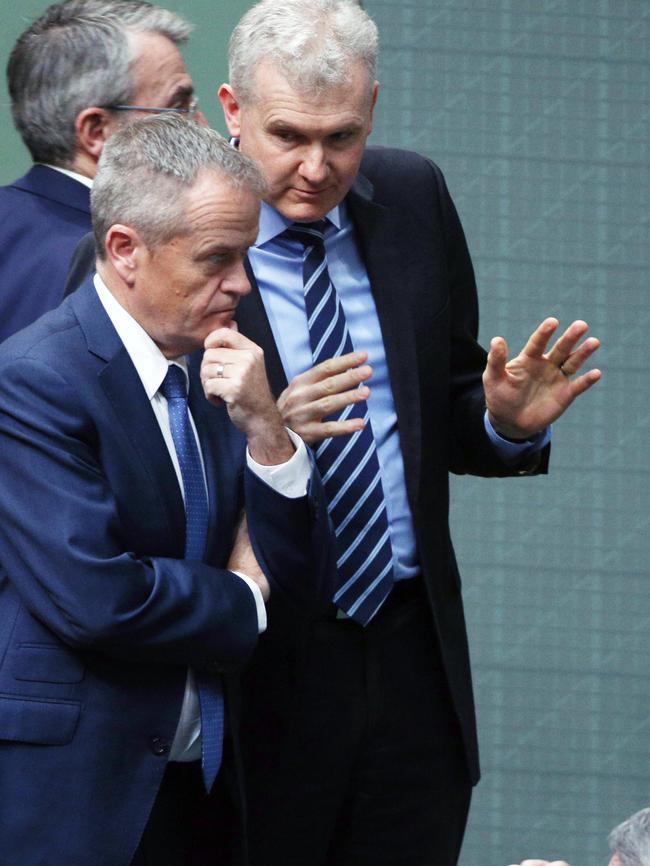 Labor frontbencher Tony Burke. Picture: Gary Ramage