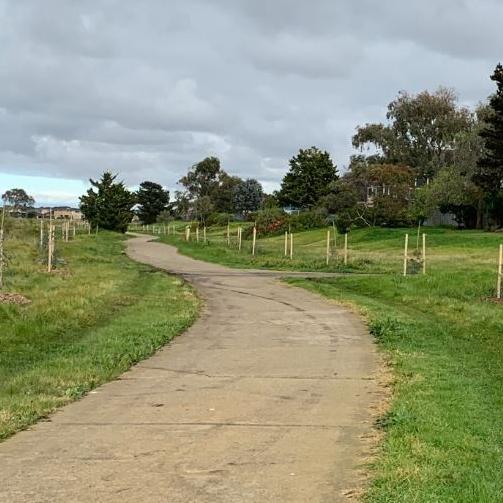 Hobsons Bay Council will remove every second tree along the Bay Trail following a petition. Picture: Hobsons Bay Council