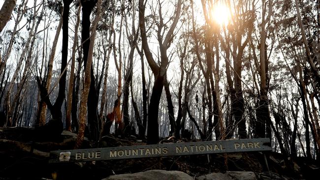 Bells Line of Road in the Blue Mountains. Picture: Jeremy Piper