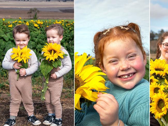 Photos 50+: Field of smiles at Warraba Sunflowers