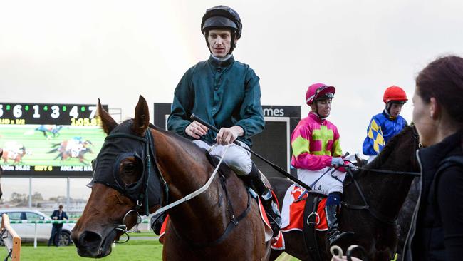 Todd Pannell on En Francais after her debut win. Picture: Brenton Edwards