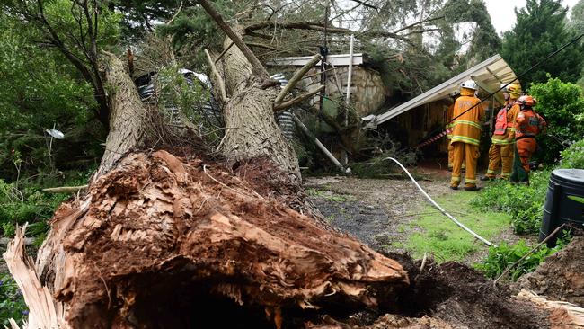 A tree has come down on a house on Kiaka Lane at Scott Creek, causing "significant damage". Picture: Campbell Brodie.