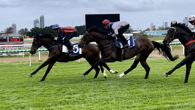 Horses trial on the new Gold Coast Turf Club track for the first time. Picture: GCTC.