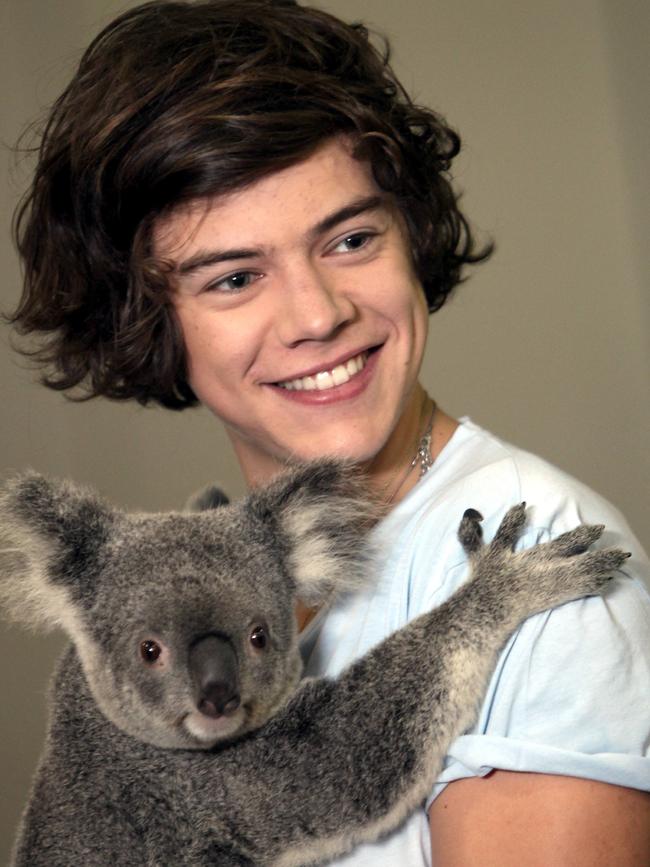 Harry meets a koala in Brisbane in 2012. Picture: News Corp Australia