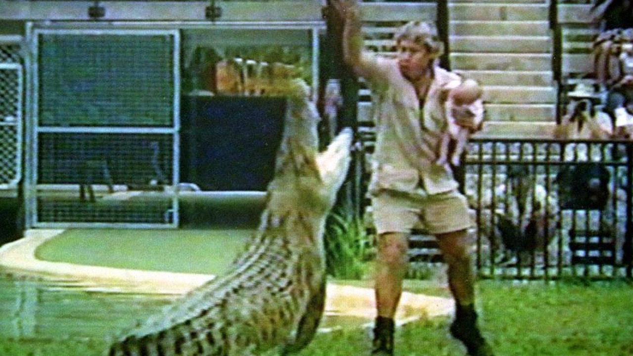 Robert got his taste for fame at just one month old when Steve held him in his arms while feeding a crocodile at Australia Zoo.