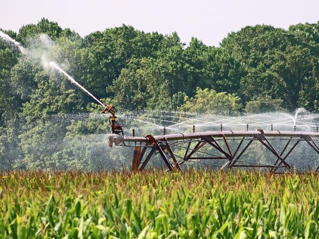 Blackbutt High Security Agricultural Water could move to construction within the next three years. File Photo.