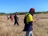 Snakes, crocs, pigs: Found against the odds in epic survival tale