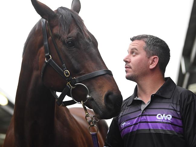 Strapper Umut Odemislioglu is seen with Winx at Flemington Racecourse in Melbourne, Friday, November 2, 2018. The Melbourne Cup Carnival kicks off tomorrow with Derby Day. (AAP Image/Julian Smith) NO ARCHIVING