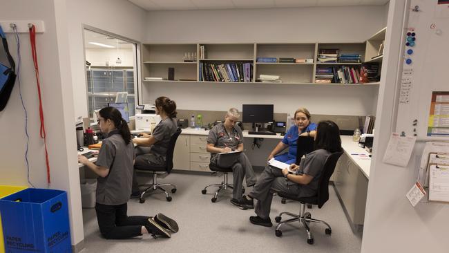 Veterinary staff discuss patients and check test results during night shift. Picture: Mark Cranitch