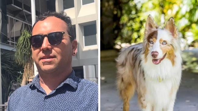 Charges have been dropped against Maximilliano Cardozo, who was arrested after blind dog Bowie was allegedly stolen from his family's home.