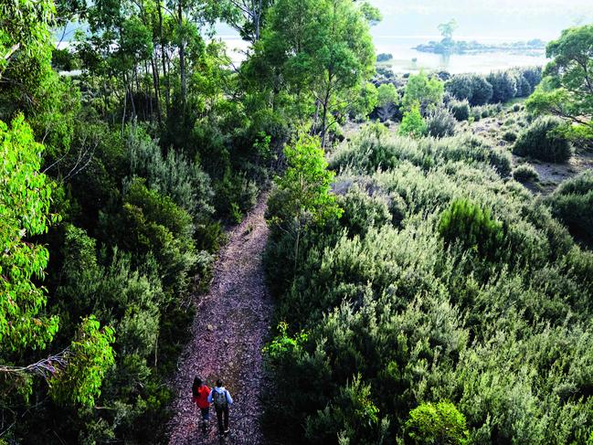 Erin Hibberd’s guided walks around Lake St Clair, which start and finish at Pumphouse Point are the ideal way to explore the National Park’s unique flora such as its silver banksias and towering eucalypts.