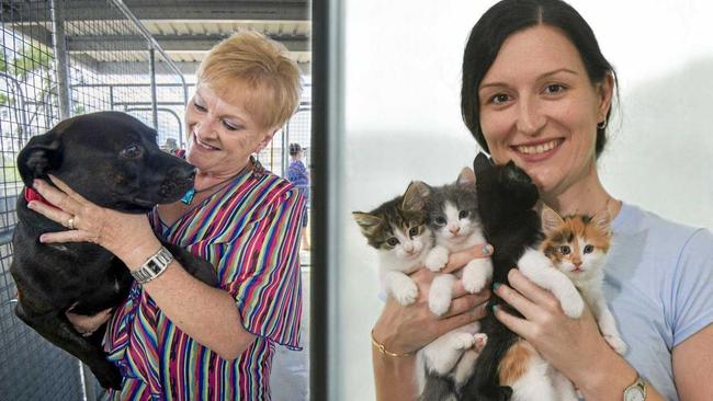 Gladstone Animal Rescue Group president Judy Whicker and Team RSPCA Gladstone president Nicole Allison. Picture: Mark Zita/Paul Braven