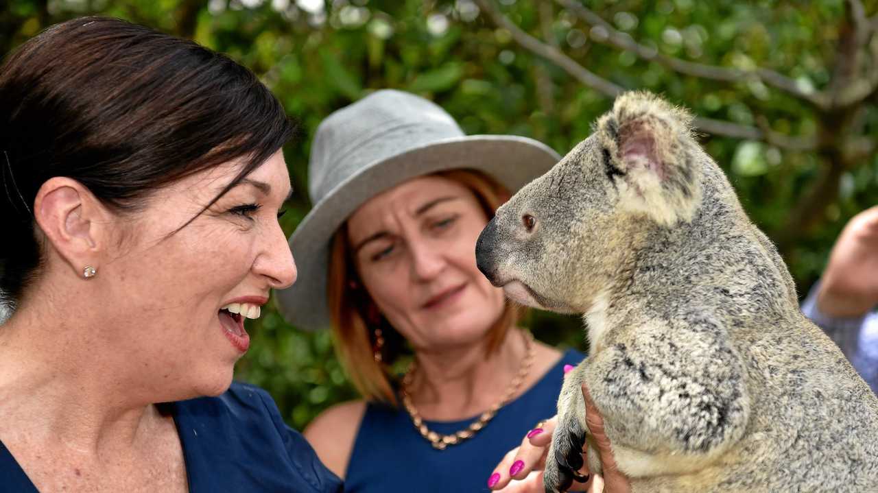 Minister for Environment Leeanne Enoch. Picture: Warren Lynam