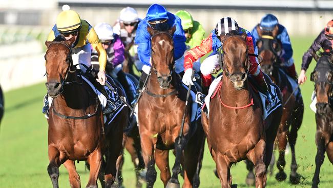 Stefi Magnetica (left) and Bella Nipotina (right) battle out the Stradbroke Handicap Picture: Grant Peters