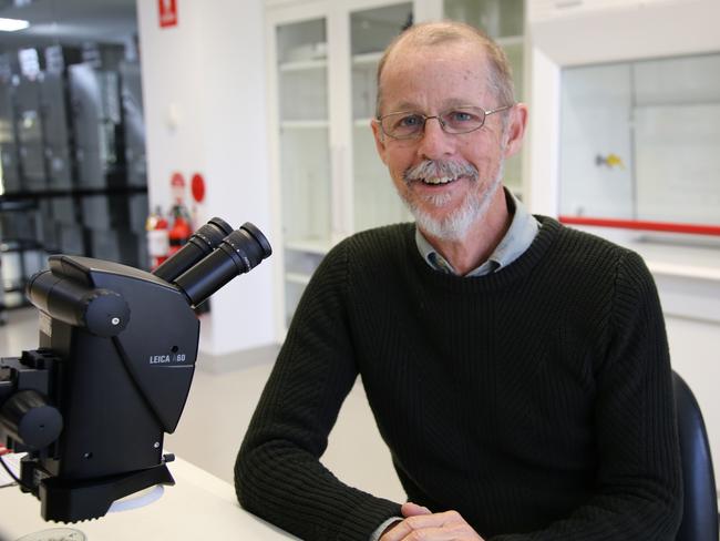 PlantBank’s Director of Research and Chief Botanist, Dr Brett Summerell. Picture: Plant Bank