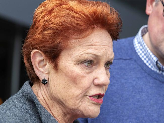 Senator Pauline Hanson and One Nation Senate candidate Steve Mav at Hobart.  Picture: Chris Kidd.