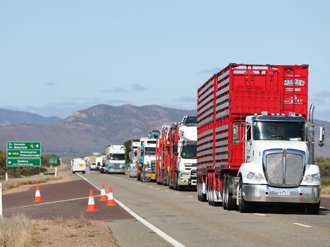 13.8.2018.Double fatality 20km South of Port Augusta on the Augusta Highway.The Augusta Highway was reopened to traffic around 1pm.  PIC TAIT SCHMAAL.