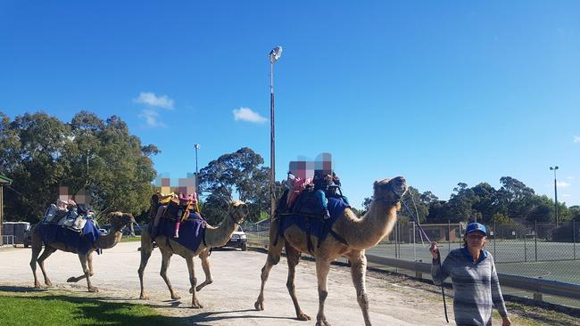 Alyesha Austin with her beloved camels. Picture: Facebook