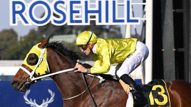 Vaucluse Bay looks the one to beat again on Saturday.