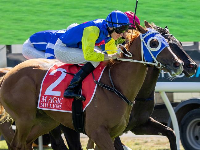 Todd Pannell pilots Dancing Storm to victory in the Magic Millions SA 2YO Classic. Picture: Makoto Kaneko