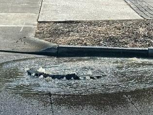 Sewage leak at Global Plaza, Oxenford. Picture: Supplied