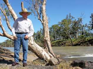 CATTLE BARON: Sir Graham McCamley by the river on Tartrus, where he lived with his wife and established the McCamley cattle empire. Picture: Kathleen Calderwood