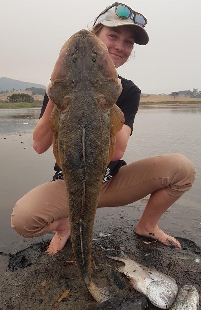 Georgia Poyner with some of the dead fish she found on Tilba Lake. Picture: Supplied